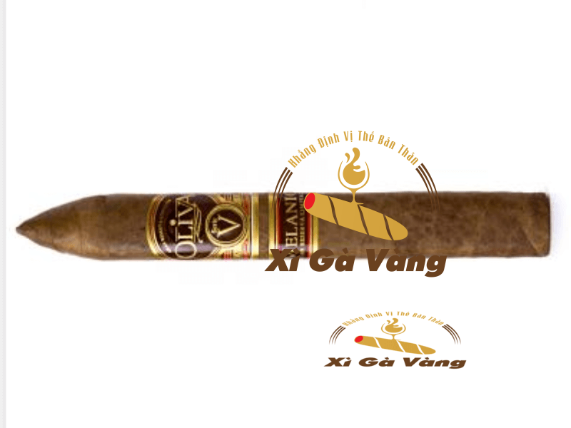 Cận cảnh điếu xì gà Oliva Melanio Torpedo